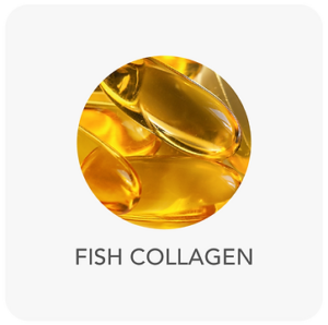 ing-fish-collagen