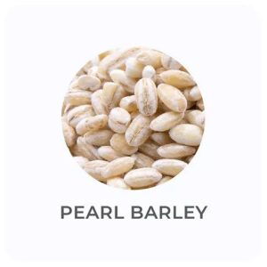 ing-pearl-barley