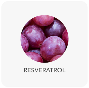 ing-resveratrol