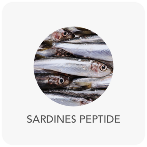 ing-sardine